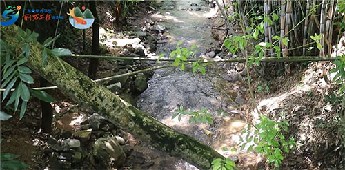 �A�ώ�����W(xu��)н���l(xi��ng)����(sh��)�`�F(tu��n)�������Ҵ�ɽȪ�~Ʒ���ƏV