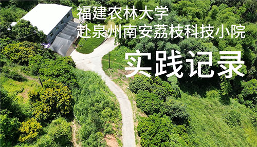 �ഺ�x�܈A�Gɫ��Ұ�����Ƽ��d�r�L���`��ƪ��