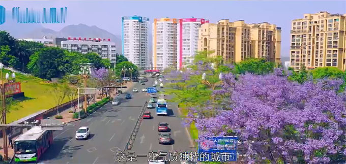 �����ʴ�,��ꖶ���!�҂�����