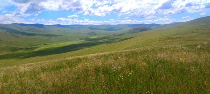 ɽ�|��W�����G�`�С��{�ЈF-���ɹ����������߲�ԭ�{��