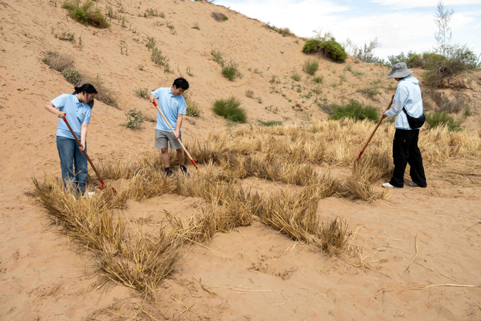 ������ɳ���� �ƏV���B������m�ݴ�W�]�ϾG�����]ԭ�G퍡��F����ڌ��`�o��